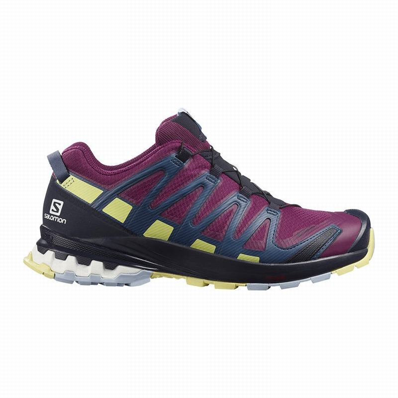 Salomon Israel XA PRO 3D V8 GORE-TEX - Womens Trail Running Shoes - Purple (IXJW-51684)